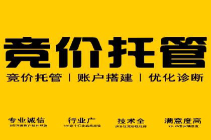 探索百度竞价排名的奥秘：某企业的成功之路